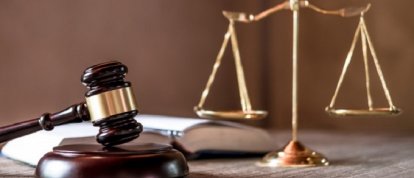 Ministério Público denuncia tutor por maus-tratos contra cadela enterrada viva em SC