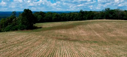 MPSC obtém decisão que impõe prazo para implementação efetiva do Cadastro Ambiental Rural em Santa Catarina