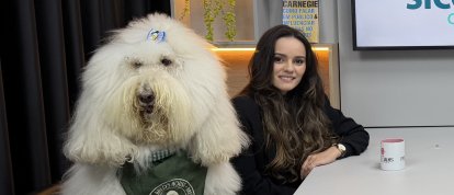 VÍDEO: você já ouviu falar em CÃOxinhas? 