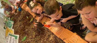 Crianças do Cemei Criança Feliz colhem alfaces cultivadas no projeto “Alimentação Saudável”