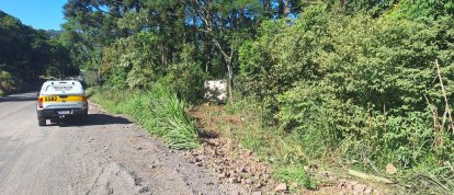 Caminhão sai da pista e motorista fica ferido na SC-305, em São Lourenço do Oeste