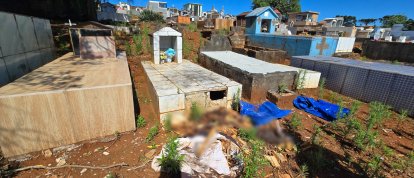 Moradores do interior de São Domingos encontram cerca de 11 sepulturas danificadas em cemitério