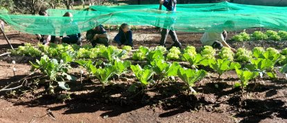 VÍDEO: escola de Campo de Xanxerê tem reconhecimento nacional com projeto Adote um Rio
