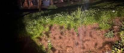 Foto: Corpo de Bombeiros