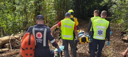 Trabalhador fica ferido após queda de árvore durante acidente de trabalho no interior de município do Oeste
