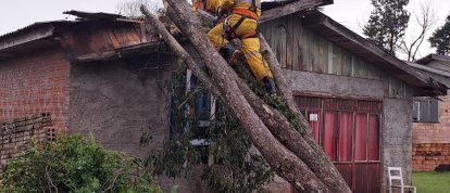 Queda de árvores atinge residências e mobiliza bombeiros em São Domingos