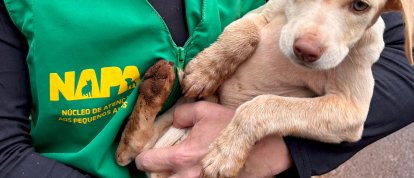 Foto ilustrativa: Daniel Braga/Prefeitura de Chapecó