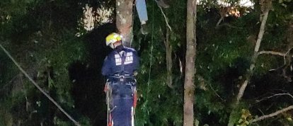 Trabalhador fica preso a 15 metros de altura após acidente durante corte de árvore