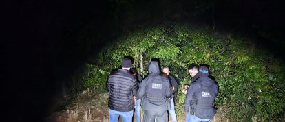 Motivação teria relação com dívidas e desavenças (Foto: Polícia Civil)