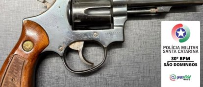 Arma sem documentação é apreendida durante cumprimento de medida protetiva em São Domingos