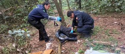 (Foto: Polícia Civil)