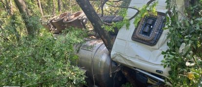 Caminhão carregado com soro para suínos sai da pista e tomba em Xaxim