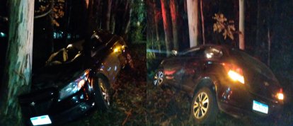 Motorista fica ferido após sair da pista e colidir contra árvore na SC-350