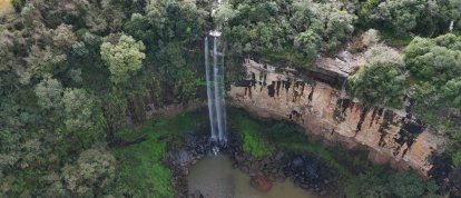 VÍDEO: natureza sempre encontra uma forma de surpreender
