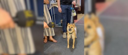 VÍDEO: Nem só de gravações sérias vive uma cobertura!