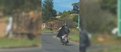 VÍDEO: Cena inusitada chama atenção na BR-282, em Xaxim
