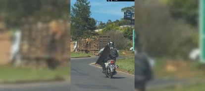 VÍDEO: Cena inusitada chama atenção na BR-282, em Xaxim