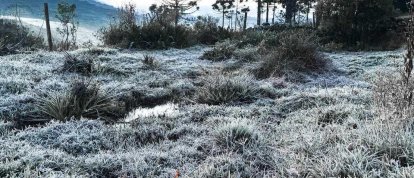 Neve, geada, sincelo e chuva congelada: entenda os fenômenos do frio extremo em SC