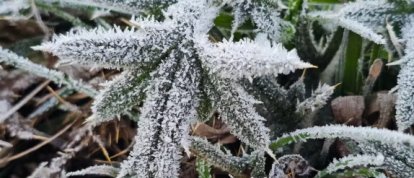 Massa de ar polar derruba temperaturas e aumenta risco de frio intenso em Santa Catarina
