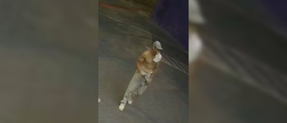 VÍDEO: furto registrado por câmeras na loja da Petlove em Chapecó