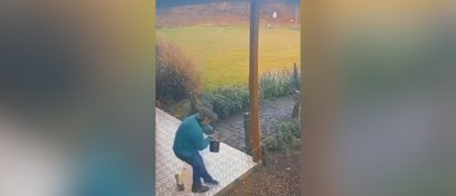VÍDEO: homem leva choque em cerca elétrica ao buscar ovos e cena viraliza em Videira