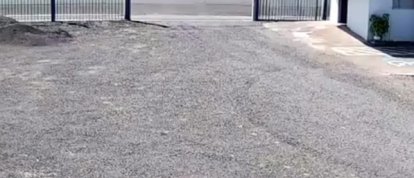 VÍDEO: câmeras de segurança flagram roubo de égua no Bairro Tonial, em Xanxerê 