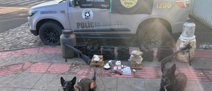 MPSC recorre ao STJ contra decisão que anulou apreensão de mais de 70 kg de drogas e armas