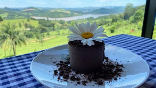 Vinícola e Cachaçaria Quadros em Itá