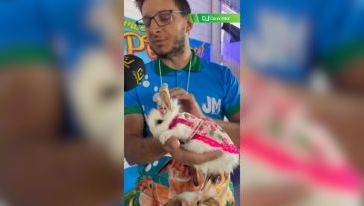 VÍDEO: a ala dos pequenos animais é um dos espaços mais visitados da ExpoFemi 2026!