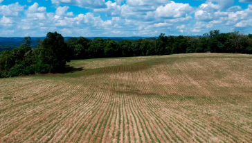 MPSC obtém decisão que impõe prazo para implementação efetiva do Cadastro Ambiental Rural em Santa Catarina