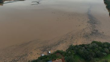 VÍDEO: marrequinhas no lago da Usina Itá chamam a atenção de visitantes