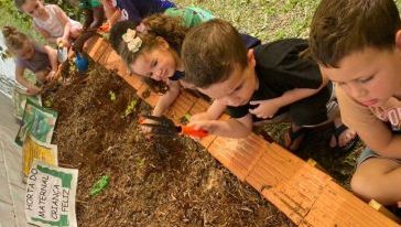 Crianças do Cemei Criança Feliz colhem alfaces cultivadas no projeto “Alimentação Saudável”