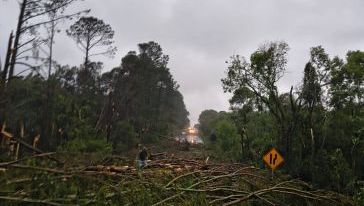 VÍDEO: Trecho da BR-282 entre Xanxerê e Faxinal dos Guedes fica interditado após queda de árvores sobre a pista