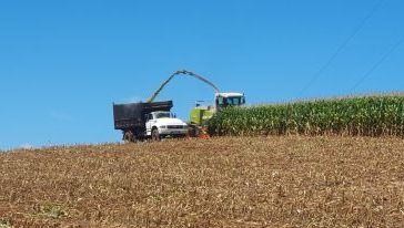 Aberto o edital para credenciamento de empresas prestadoras de serviços de colheita rural