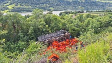 Parte de carga de frangos é saqueada após condutor sofrer acidente na SC-480