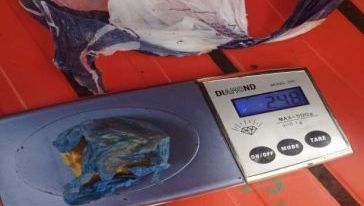 Homem e mulher são detidos por tráfico após enterrar drogas para escondê-la, em Xanxerê