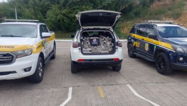 Ação conjunta apreende quase meia tonelada de maconha e recupera veículo furtado na BR-116