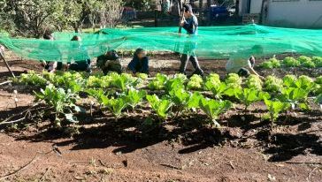 VÍDEO: escola de Campo de Xanxerê tem reconhecimento nacional com projeto Adote um Rio