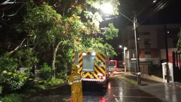Temporal provoca queda de dezenas de árvores e mobiliza bombeiros em municípios do Oeste de SC