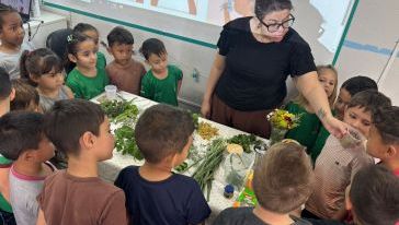 Alunos do Cemei Carrossel participam de atividade educativa sobre chás
