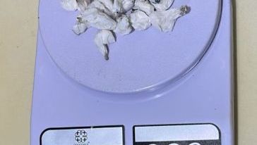 Polícia Civil desarticula ponto de tráfico e apreende drogas em São Domingos