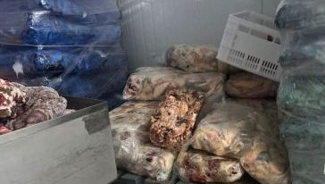 Operação conjunta interdita frigorífico por suspeita de fraude alimentar em Coronel Freitas