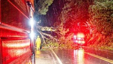 Bombeiros removem árvores caídas sobre a BR-158 durante a madrugada 