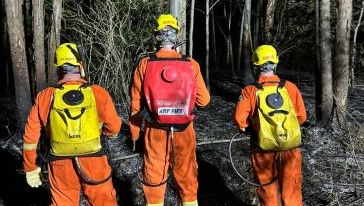 Incêndio em plantação de eucaliptos mobiliza bombeiros no interior de município do Oeste
