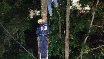 Trabalhador fica preso a 15 metros de altura após acidente durante corte de árvore