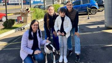 Feira de adoção garante novo lar para nove cães em Xanxerê