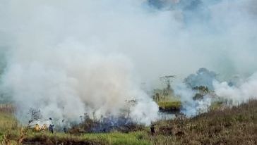Incêndio em vegetação destrói cerca de 10 mil metros quadrados em município do Oeste