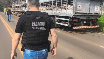 Operação conjunta fiscaliza transporte de animais e produtos agropecuários em Palmitos