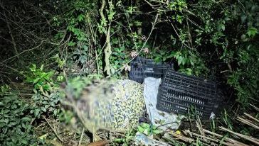 (Foto: Polícia Civil)