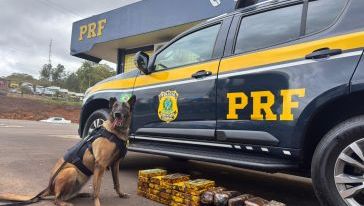 VÍDEO: Cães farejadores encontram 35 quilos de drogas escondidos no catalisador de carreta em Xanxerê